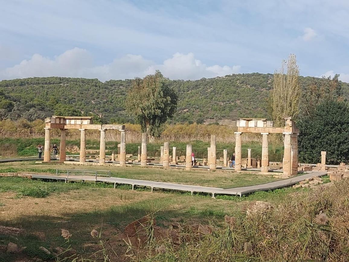 شقة Urbi Garden أرتيميدا المظهر الخارجي الصورة